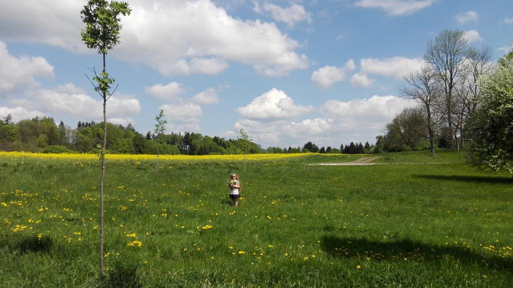 Apartmány Na Rozcestí Lomnice nad Popelkou Esterno foto